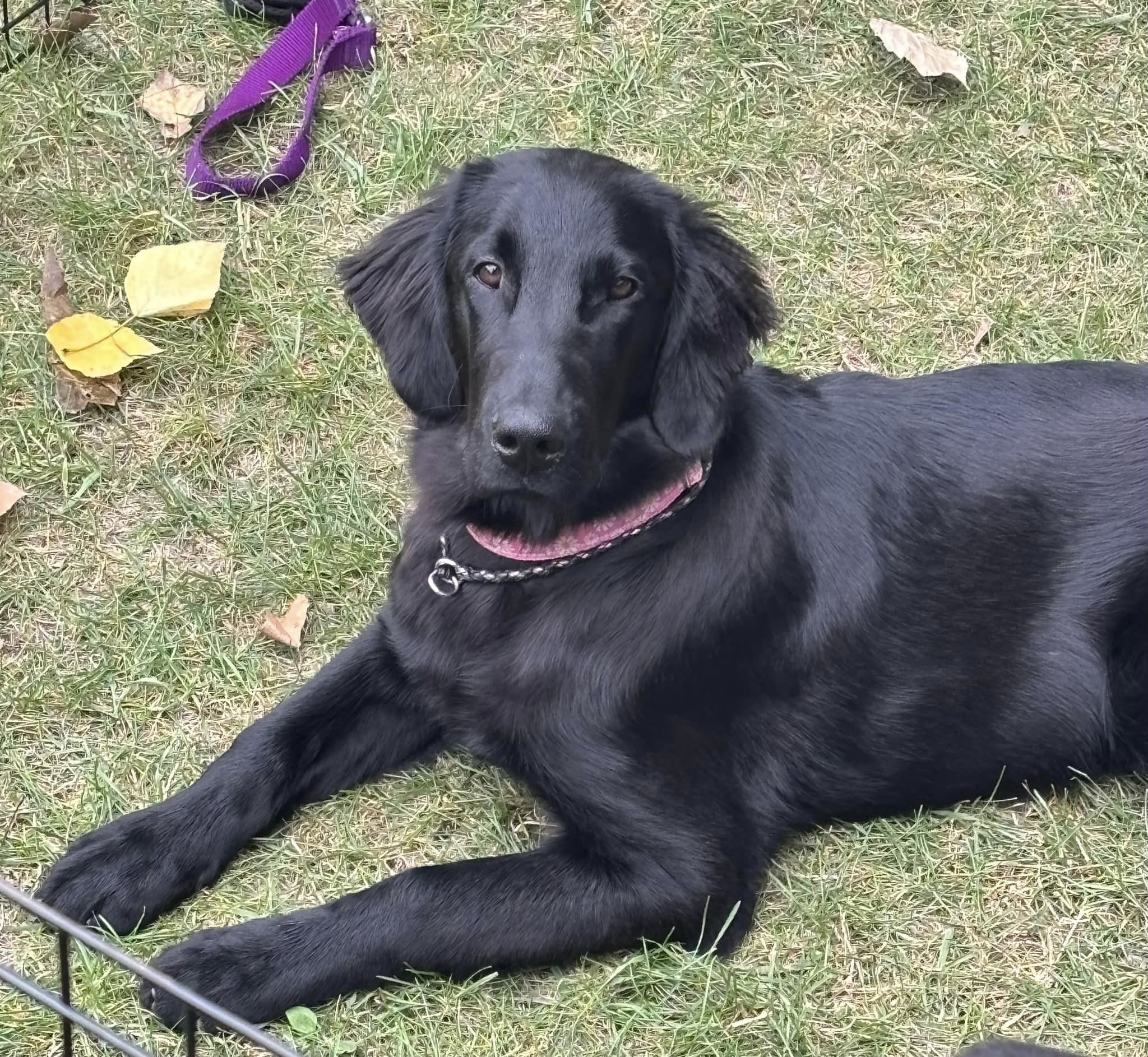 Maggie